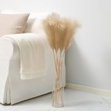 SMYCKA pampas grass in clear vase. Tall, beige plumes bendable at stems. White sofa with cream blanket and pillow. Modern, minimalist design.