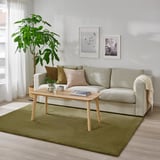 Modern living room with green sofa, rug, plant, and artwork.