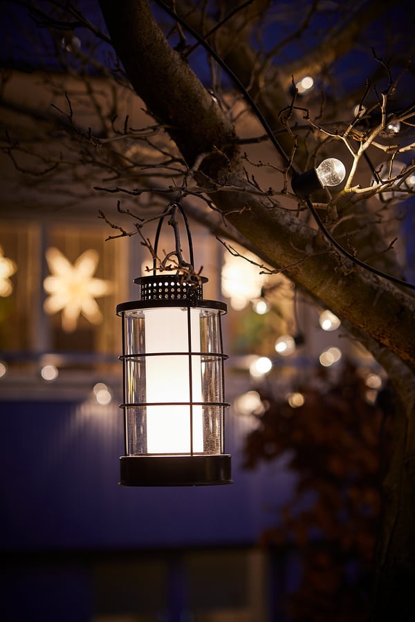 A hanging lantern lights up a tree branch, casting warm light in a garden at night.