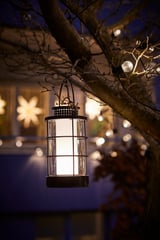 A hanging lantern lights up a tree branch, casting warm light in a garden at night.