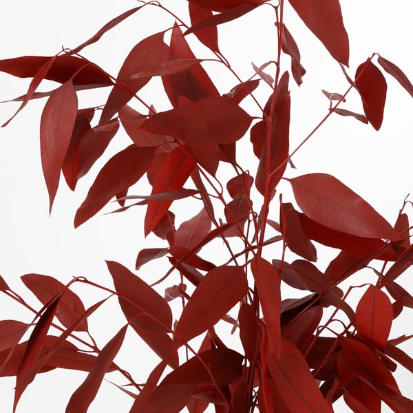 Vibrant red dried plant leaves, carefully arranged for year-round beauty.