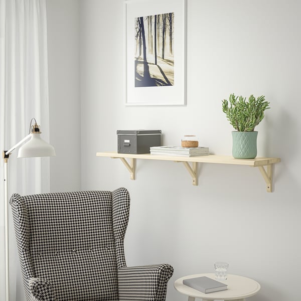 Cozy reading nook with TRANHULT shelf, books, plant, chair, & nature photo.