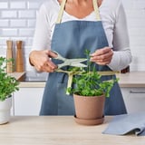 Woman trims herbs with versatile scissors in kitchen.