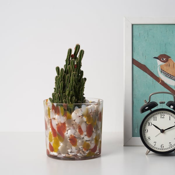 Clear glass planter cactus, ideal for plants needing sun. Clock and art frame nearby.