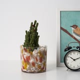 Clear glass planter cactus, ideal for plants needing sun. Clock and art frame nearby.