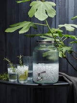 VARDAGEN glass dispenser with ice on table, plant, glasses with cucumber.