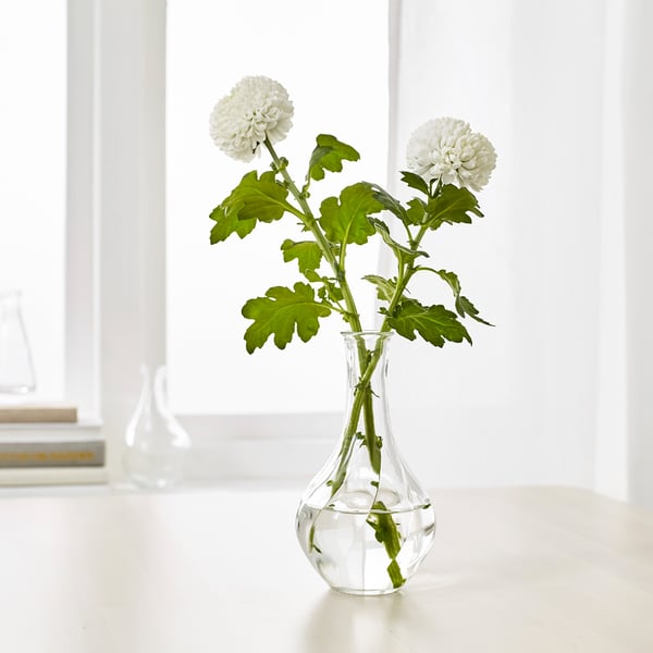 Small glass vase, VILJESTARK, holds two white flowers with green stems and leaves. Displayed on a white surface.