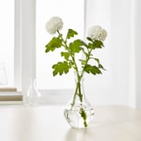Small glass vase, VILJESTARK, holds two white flowers with green stems and leaves. Displayed on a white surface.