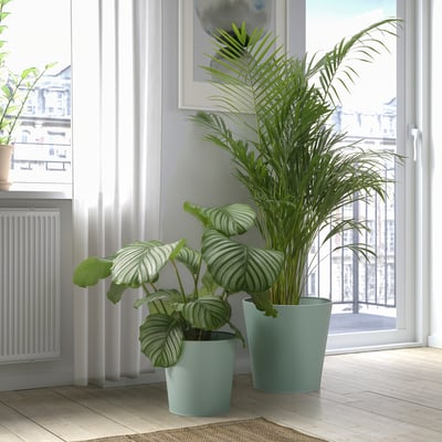 Green VITLÖK pots with plants near window. One broad leaves, one tall fronds. Indoor setting.
