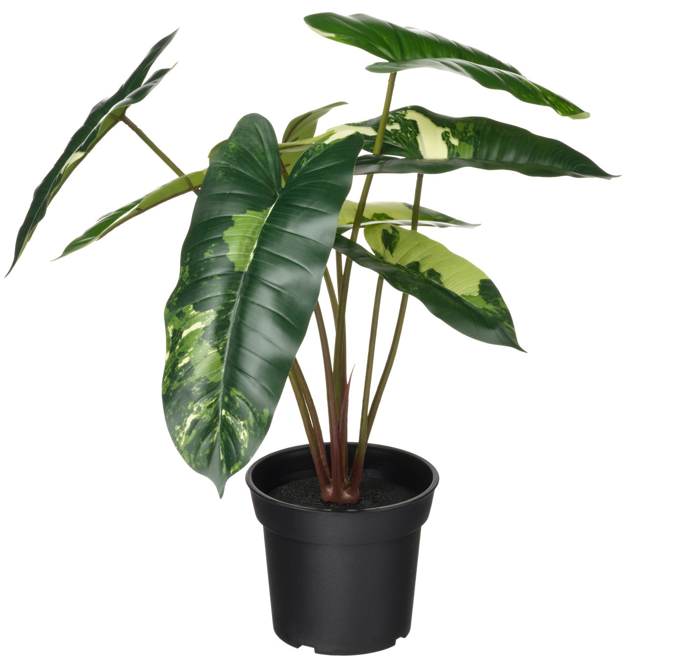 IKEA FEJKA konstgjord krukväxt, inom-/utomhus philodendron/grön/vit, 15 cm