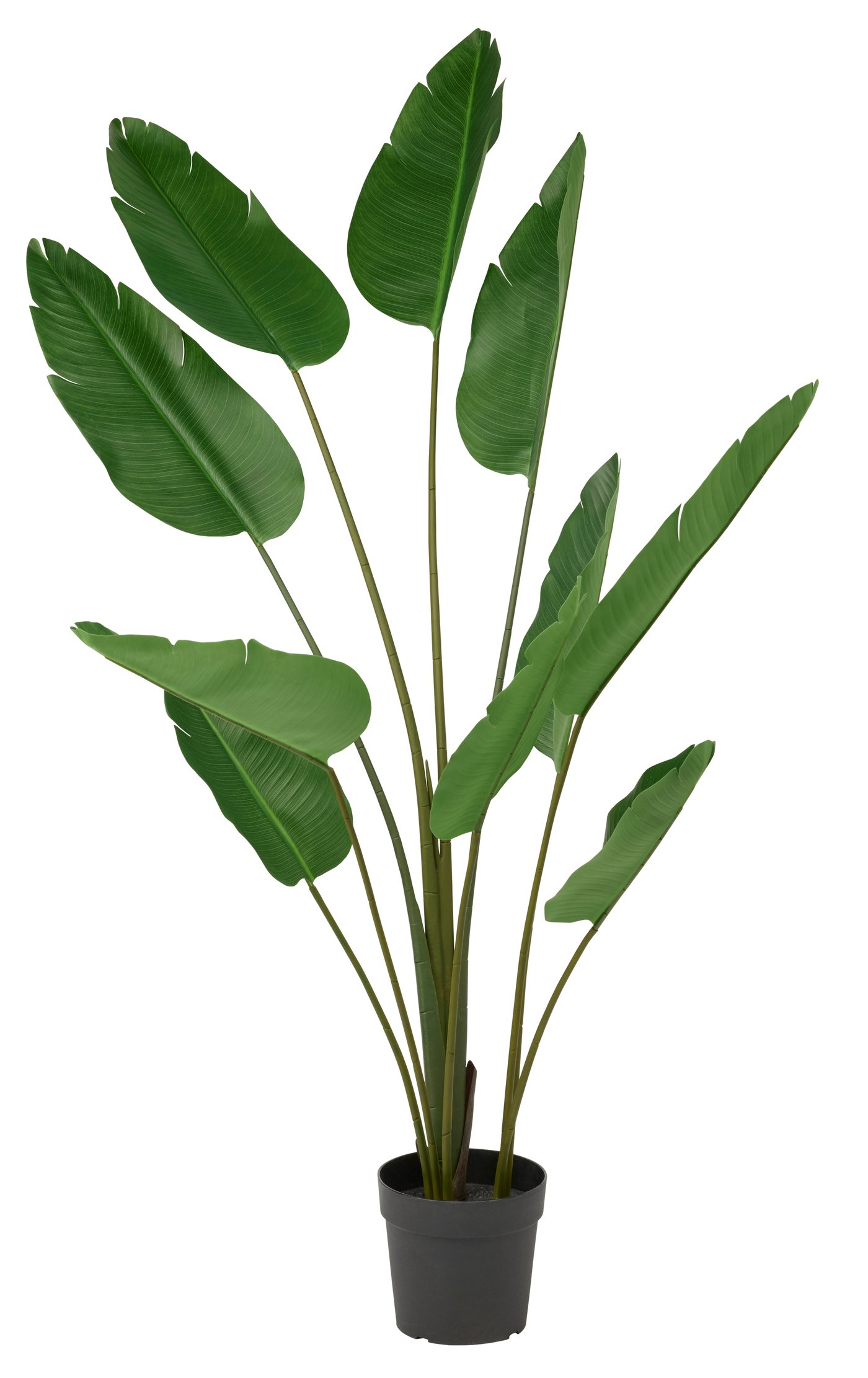 IKEA FEJKA konstgjord krukväxt, inom-/utomhus/strelitzia, 23 cm