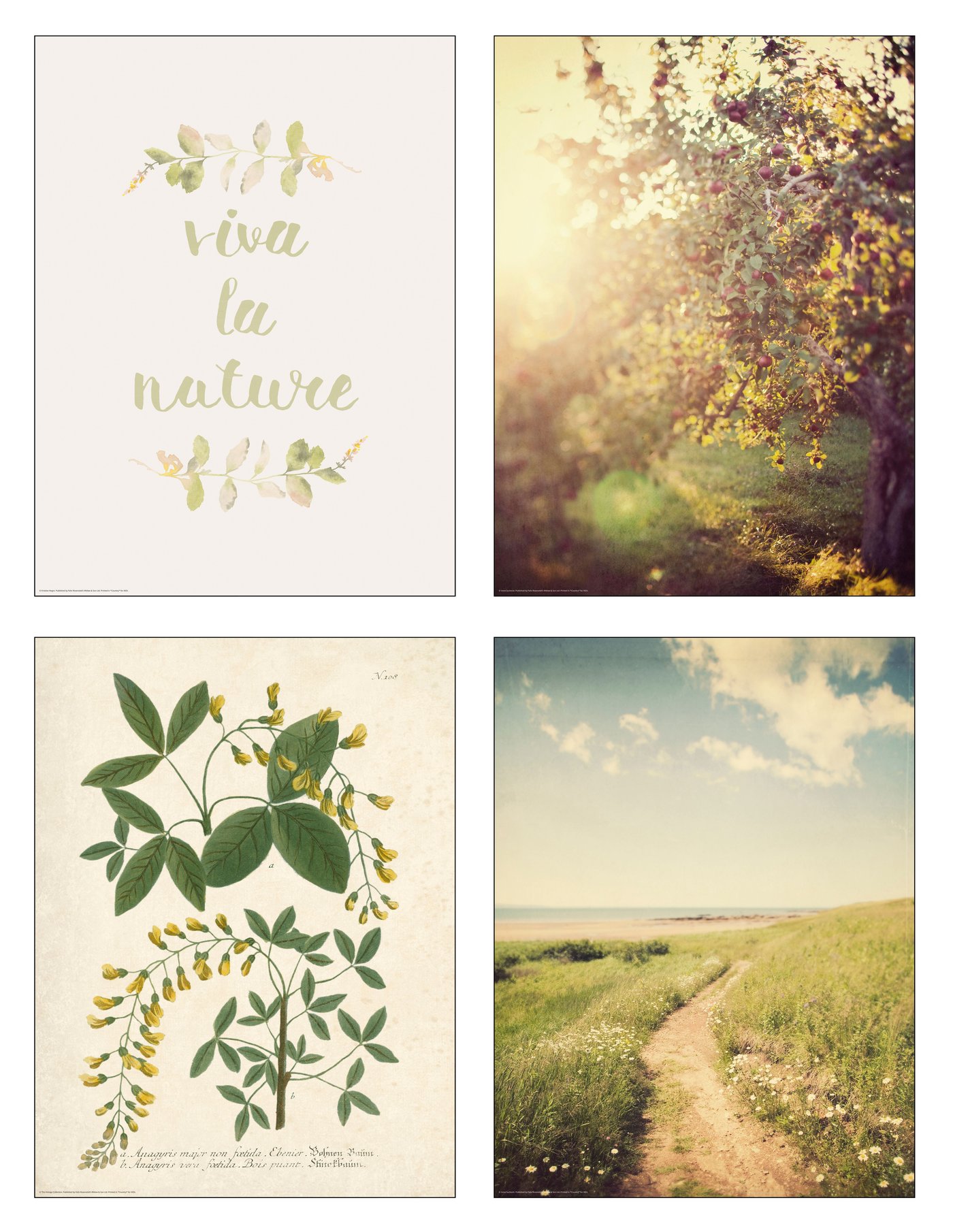 IKEA BILD poster, länge leve naturen, 30x40 cm, bild