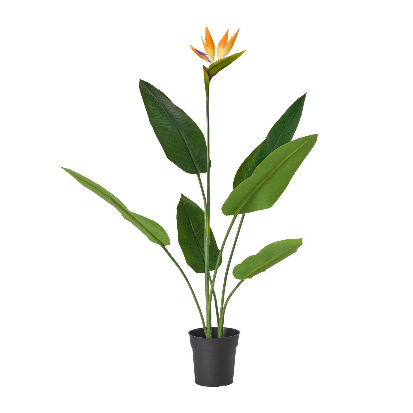 IKEA FEJKA konstgjord krukväxt, inom-/utomhus strelitzia, 19 cm
