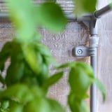 Aspern miniväxthus, grått, med klart lock, gröna växter i förgrunden.
