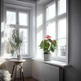 Rum med rödblommiga och höga grönbladiga växter i texturerade krukor.