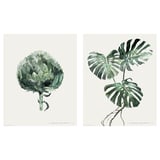 Bilden visar två distinkta gröna växtillustrationer, en med detaljerad kronärtskocka, en annan med tropiska blad, på vit bakgrund.