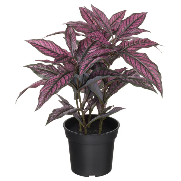 FEJKA växt: livfulla lila-gröna blad, krukade i svart plast, modern design.