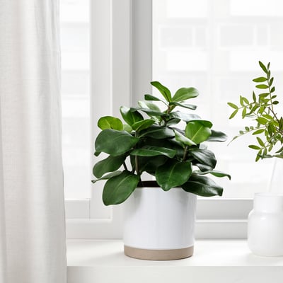 En konstgjord växt i kruka sitter på en fönsterbräda, med realistiska gröna blad som blomstrar i en vit behållare, perfekt för inomhus- eller utomhusbruk.