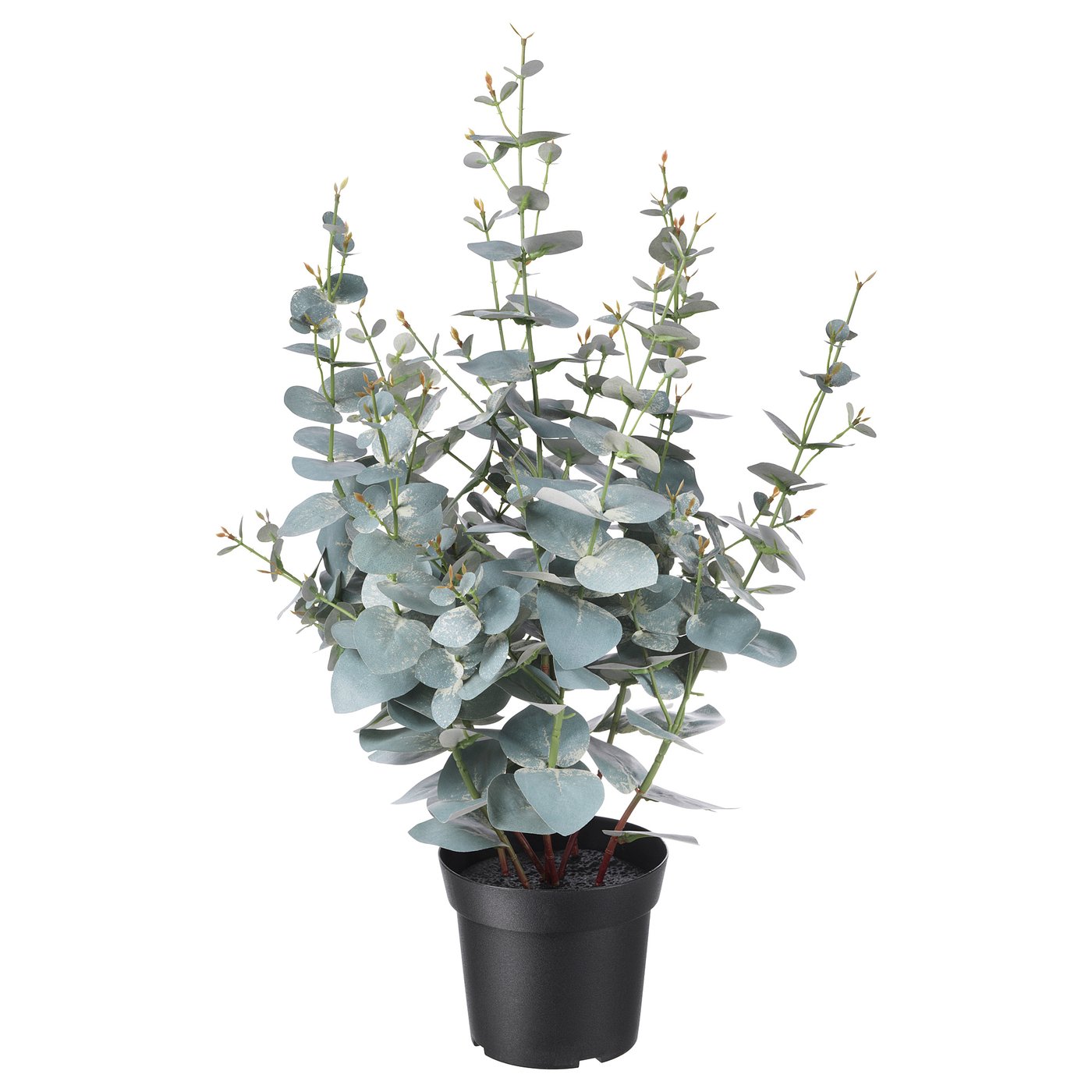FEJKA Konstgjord krukväxt - inom-/utomhus eukalyptus 15 cm IKEA occasion