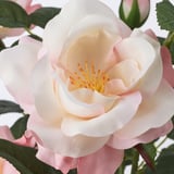 Närbild av en naturtrogen konstblomma, med blekrosa kronblad och detaljerad gul mitt.