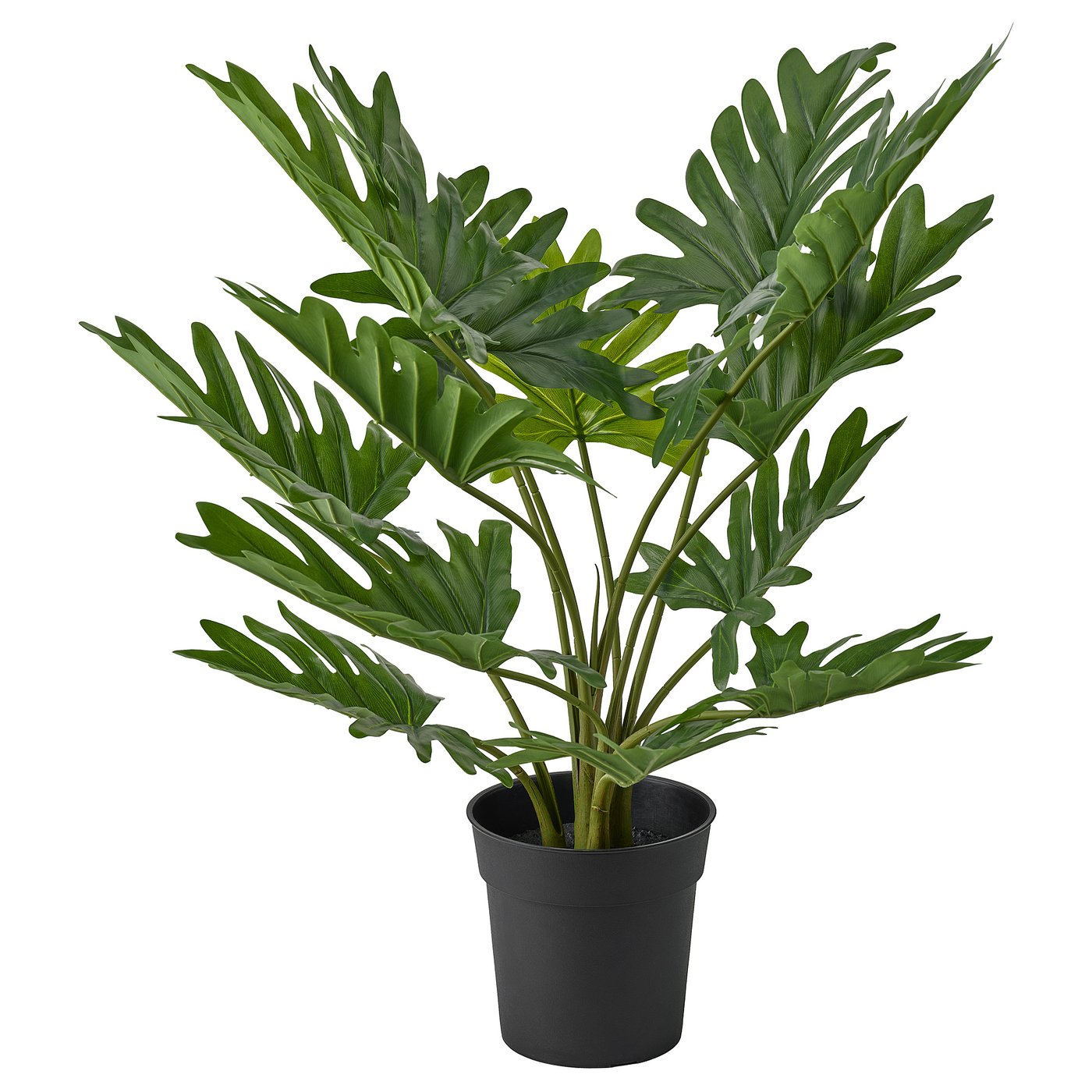 IKEA FEJKA konstgjord krukväxt, inom-/utomhus xanadukalla, 19 cm
