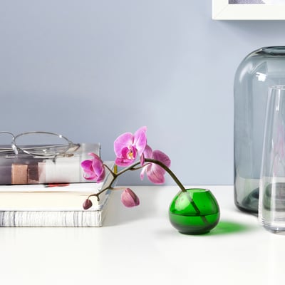 Liten grön vas i återvunnet glas HÄNGBJÖRK med rosa orkidéer.