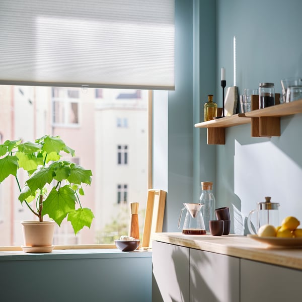 Modernt köksfönster med HOPPVALS vit cellulär persienn för avskildhet; krukväxter, trähyllor med burkar och citroner på bänkskivan.