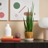 Modern hylla med växt, vas, böcker, lampa.