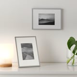 Två silverfärgade bildramar visar svartvita naturfoton. Den ena står på en hylla, den andra hänger på en vägg. Dekorativa föremål finns i närheten.