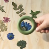Barnhand med hjälp av en leksaks förstoringsglas för att undersöka ett blått blomblad på en träyta omgiven av olika blad och blommor.
