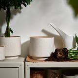 Två SANDKÖRSBÄR krukor på hyllan, en stor och en liten. Till vänster har växt, till höger har vattenkanna och exponerad rotväxt.