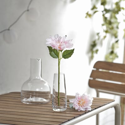 SMYCKA ljusrosa dahlia i vas i glas. Liten, realistisk blomma på bordet.