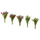 TULIPA bukett: lila, rosa, röda, gula, vita blommor; gröna stjälkar; färska snittblommor blommar.