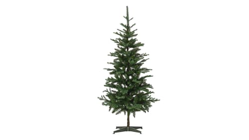 Julgranar & julblommor