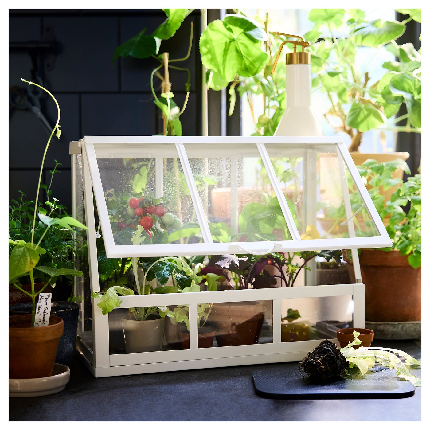 ガーデンファニチャー SRL . MINI GREENHOUSE ÅKERBÄR greenhouse, in/outdoor/white, 45 cm - IKEA