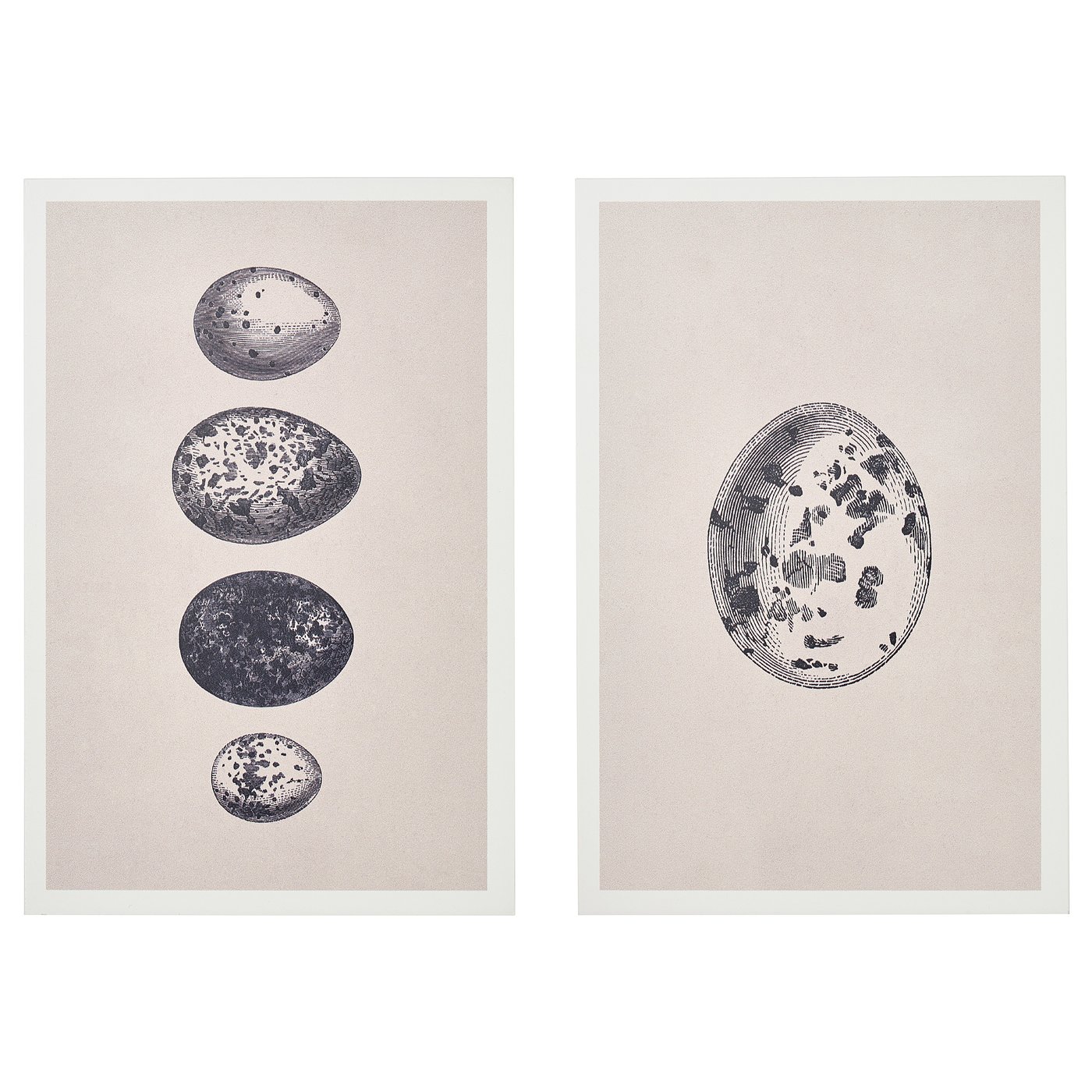 BJÖRNAMO art print on hollow wood, eggs, 20x30 cm - IKEA