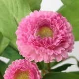 FEJKA Artificial potted plant, in/outdoor/Common daisy pink, 12 cm