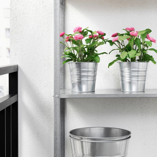 FEJKA Artificial potted plant, in/outdoor/Common daisy pink, 12 cm