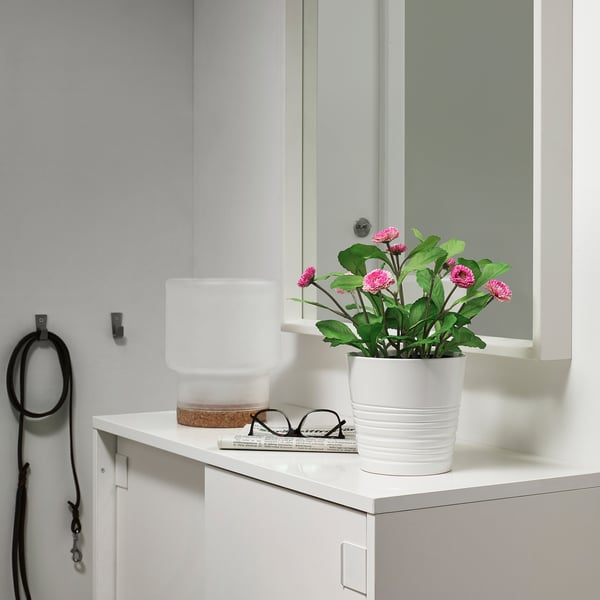FEJKA Artificial potted plant, in/outdoor/Common daisy pink, 12 cm