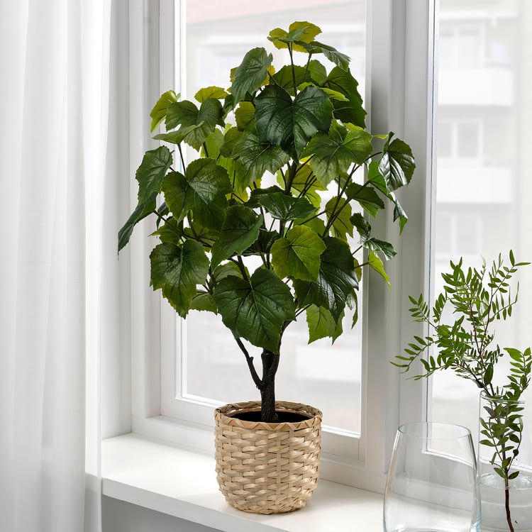 FEJKA artificial potted plant, in/outdoor Crimson glory vine, 15 cm IKEA