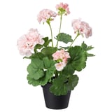 FEJKA Artificial potted plant, in/outdoor/Geranium pink, 12 cm