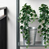 FEJKA Artificial potted plant, in/outdoor/hanging Ivy, 12 cm