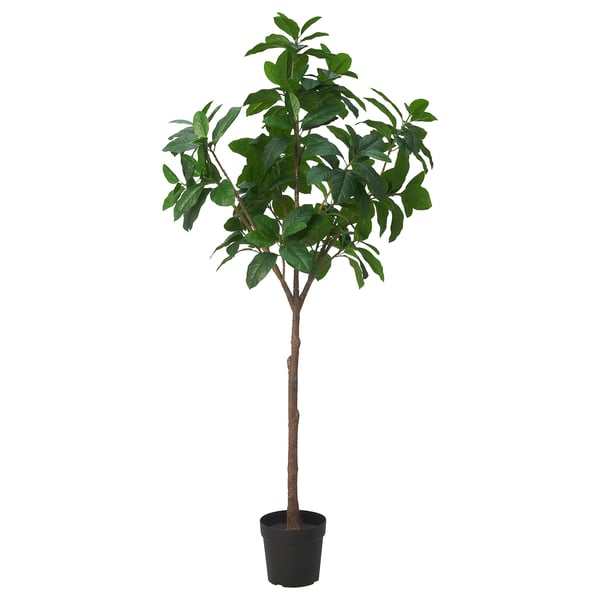 FEJKA Artificial potted plant, in/outdoor Magnolia, 23 cm
