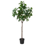 FEJKA Artificial potted plant, in/outdoor Magnolia, 23 cm