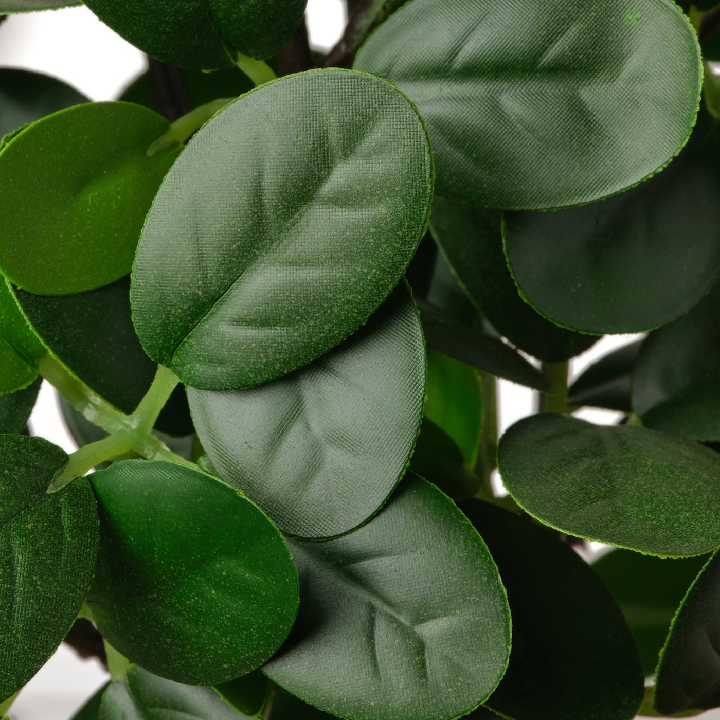 Fejka Artificial Potted Plant With Pot In Outdoor Bonsai 16 Cm Ikea