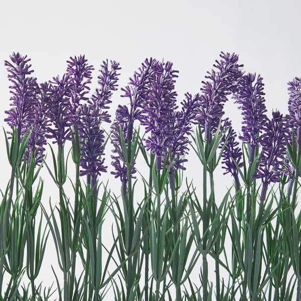 FEJKA Artificial potted plant with pot, in/outdoor Lavender
