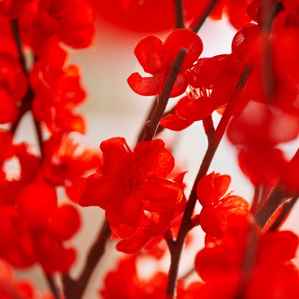 FÖSSTA Artificial flower, plum blossom/red, 60 cm