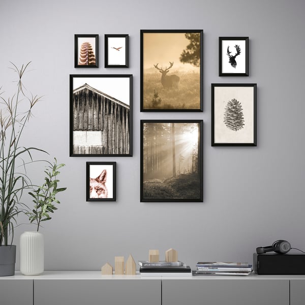 Knoppang Frame With Poster Set Of 8 In The Woods Ikea