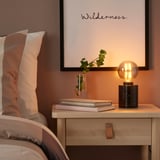 MOLNART LED bulb E27 120 lumen, globe grey clear glass, 95 mm