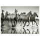 PJÄTTERYD Picture, Wild horses, 70x50 cm